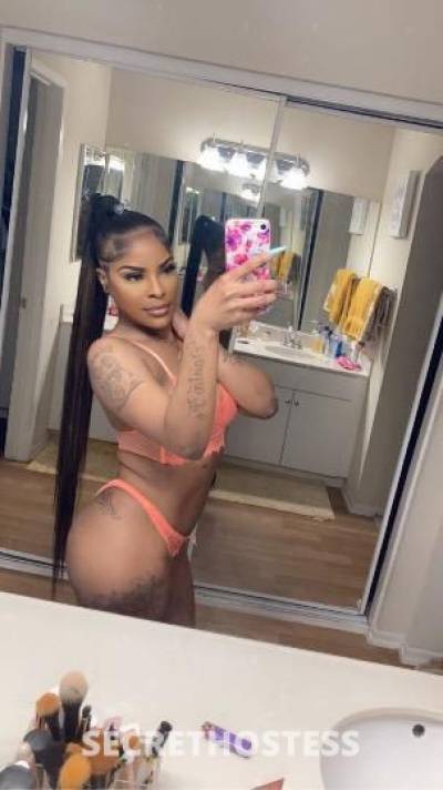 27 year old Caribbean Escort in South Jersey NJ Caribbean cat