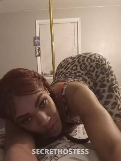 Silk 32Yrs Old Escort Jacksonville FL Image - 3