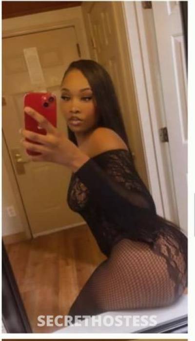 Skyy 23Yrs Old Escort Concord CA Image - 1