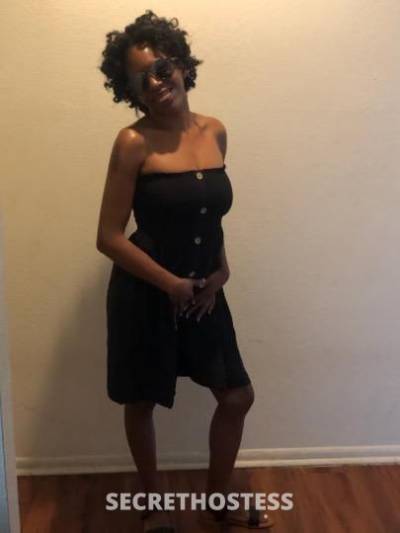 Slim 27Yrs Old Escort Tampa FL Image - 1