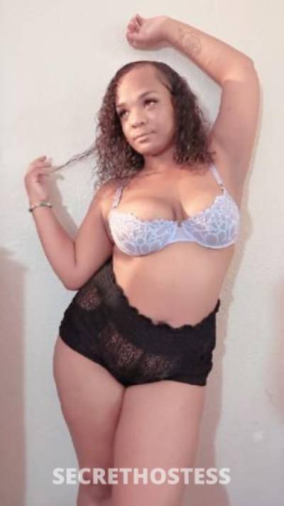 Star⭐ 21Yrs Old Escort New Orleans LA Image - 0