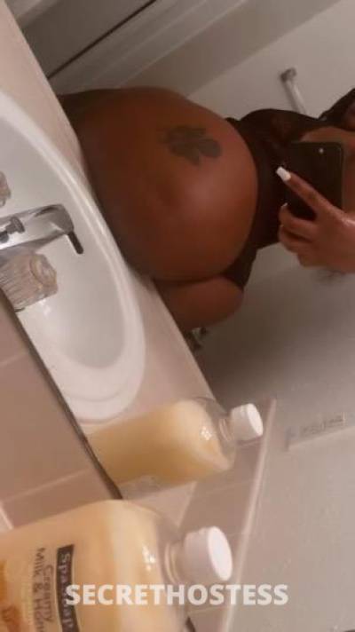 Sweetastychoclate 27Yrs Old Escort Houston TX Image - 3