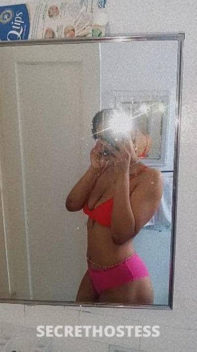 Sweetspice 21Yrs Old Escort Bronx NY Image - 9