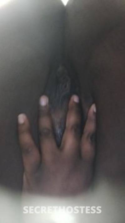Tiffany 20Yrs Old Escort Ann Arbor MI Image - 3