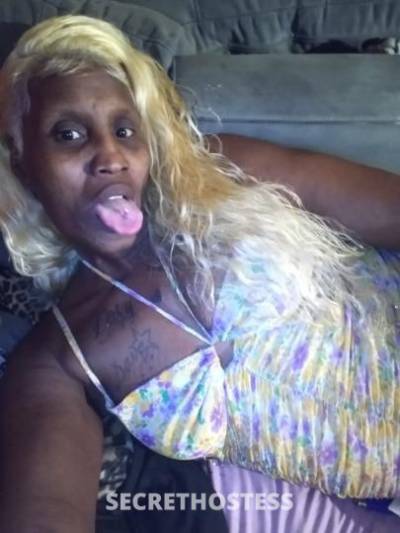 Trina 30Yrs Old Escort Treasure Coast FL Image - 5