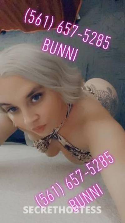 bunni 28Yrs Old Escort Northern Virginia DC Image - 3