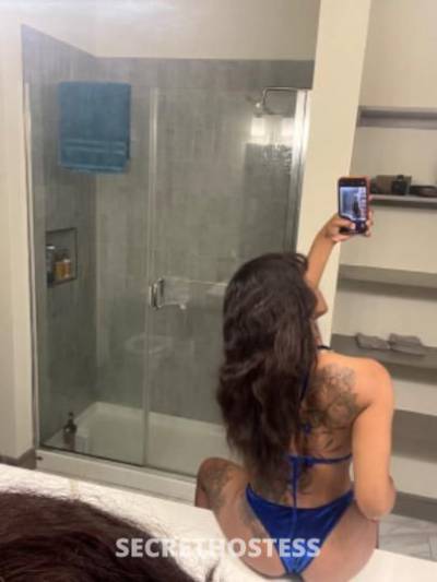 21Yrs Old Escort Dallas TX Image - 0