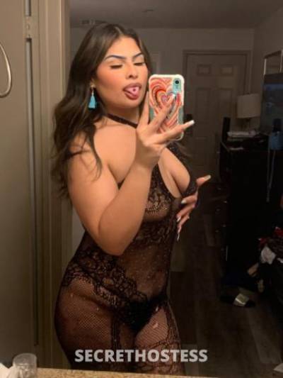 21Yrs Old Escort Dallas TX Image - 3