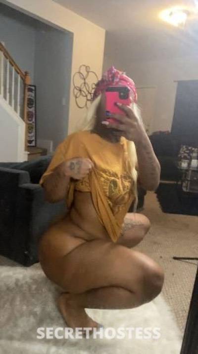 29Yrs Old Escort Raleigh NC Image - 2