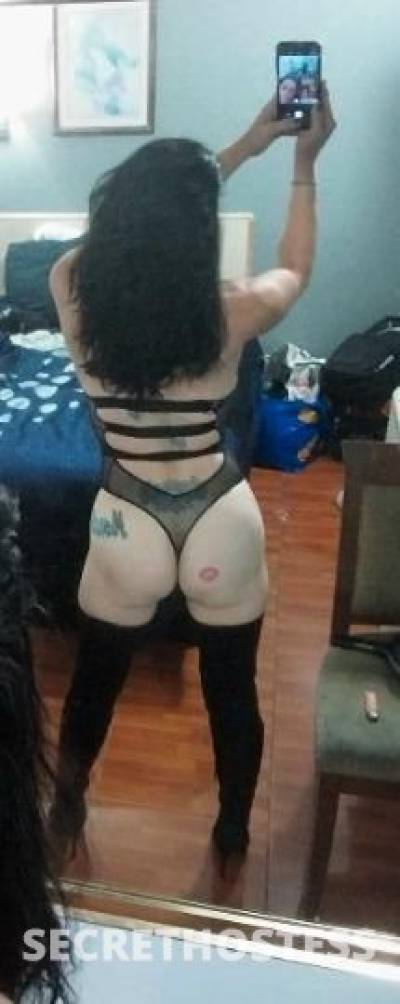 ARI 35Yrs Old Escort West Palm Beach FL Image - 4