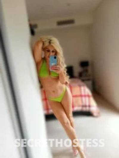 Alana 26Yrs Old Escort Size 8 Newcastle Image - 5