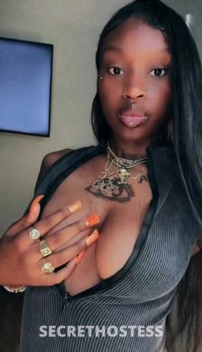 Amiri 20Yrs Old Escort Denver CO Image - 4