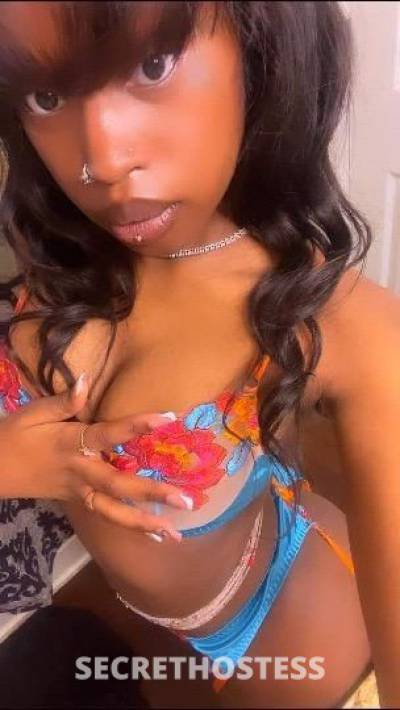 Amiri 20Yrs Old Escort Denver CO Image - 10