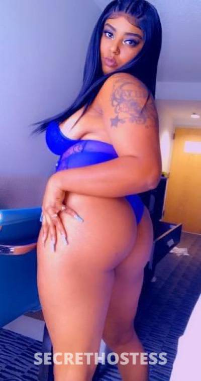 Belle 25Yrs Old Escort Houston TX Image - 4