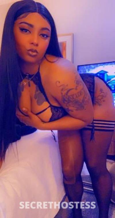 Belle 25Yrs Old Escort Houston TX Image - 5