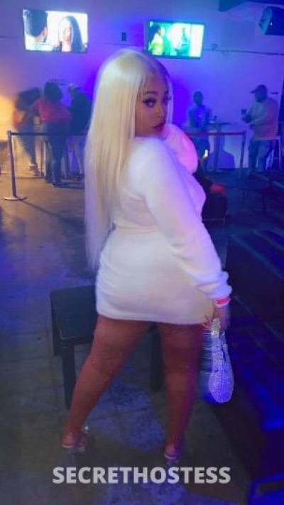 Bunnie 26Yrs Old Escort Raleigh NC Image - 5