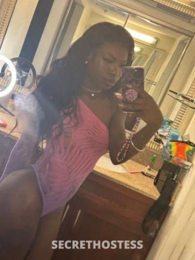 Coco 21Yrs Old Escort Honolulu HI Image - 0