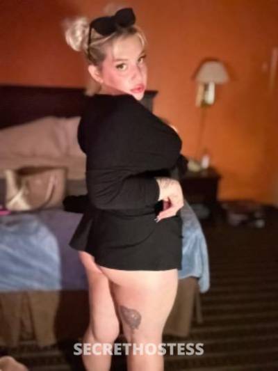 Courtney 28Yrs Old Escort Tampa FL Image - 3