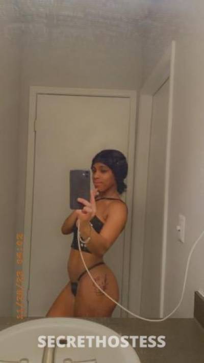 Diamond 20Yrs Old Escort Jacksonville FL Image - 2