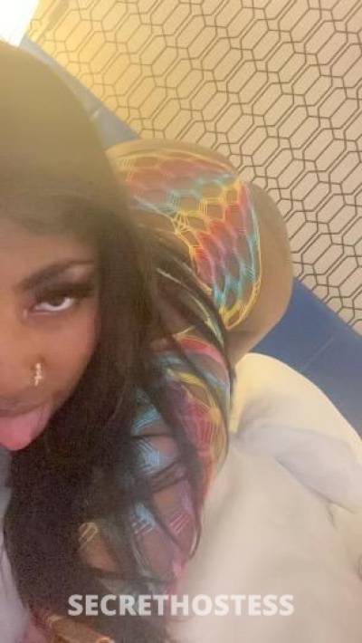 Diamondd 22Yrs Old Escort Miami FL Image - 2