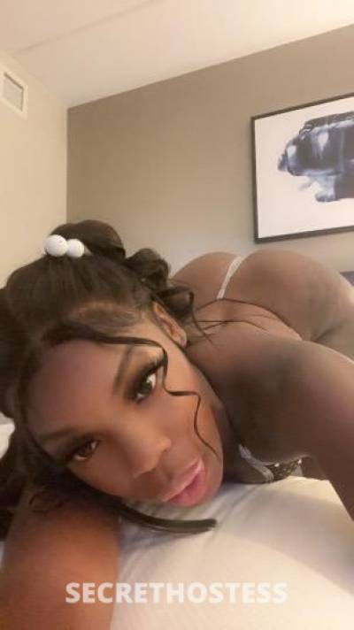Exotic Chocolate Bunny 🌹INCALLS ONLY NO LOWBALLERS in Monterey CA