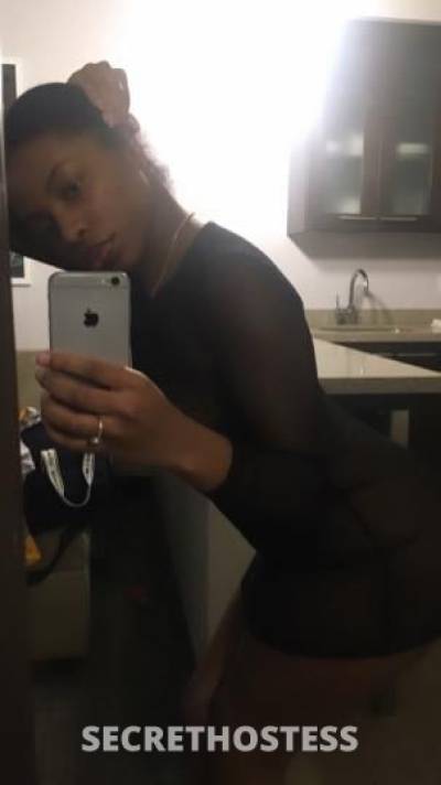 EnvyDesire 21Yrs Old Escort Seattle WA Image - 1