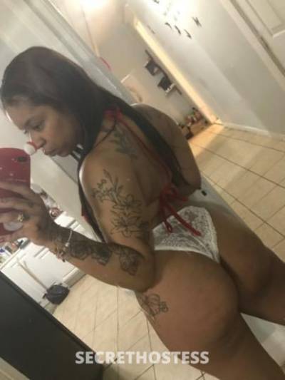 Honey 25Yrs Old Escort Bronx NY Image - 3