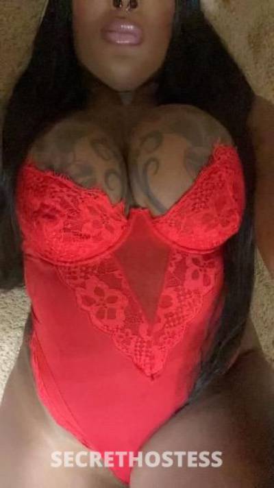Jada 28Yrs Old Escort Little Rock AR Image - 3