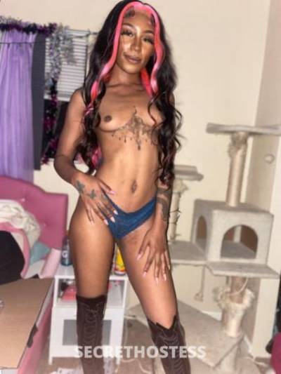 Kalai 22Yrs Old Escort Sacramento CA Image - 1