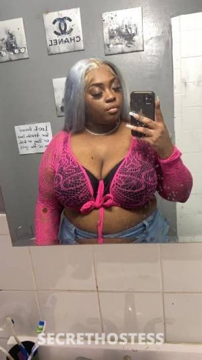 Kitty 25Yrs Old Escort Bronx NY Image - 0