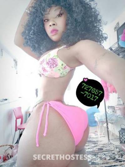 LOVELIGHT 42Yrs Old Escort Tampa FL Image - 2