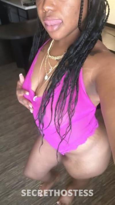 GFE BBJ DATY 100QV special magical mind blowing orgasms  in San Jose CA