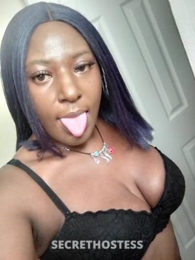 Mahogany 36Yrs Old Escort Wilmington DE Image - 5