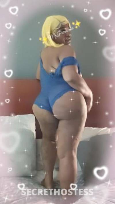 MsParadise 39Yrs Old Escort Memphis TN Image - 6