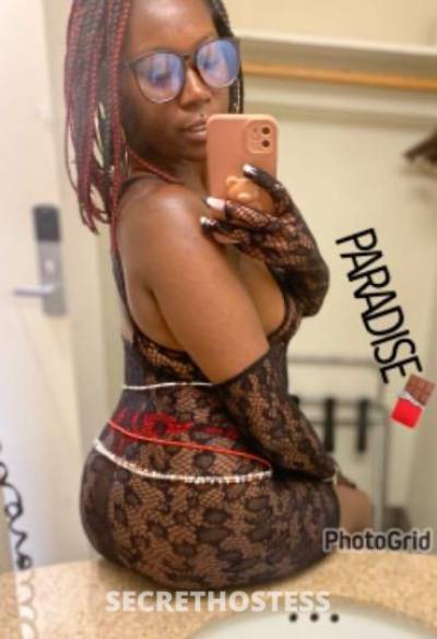 Paradise 26Yrs Old Escort Concord CA Image - 2