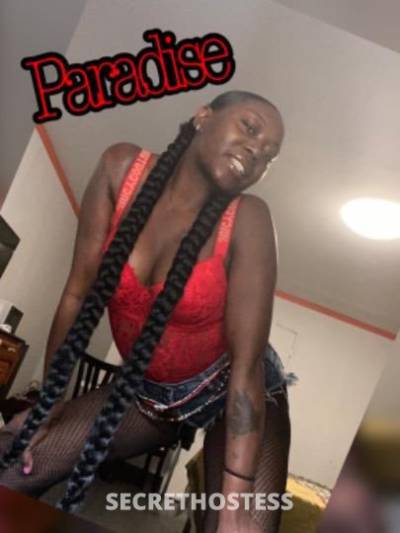 Paradise 26Yrs Old Escort Concord CA Image - 5