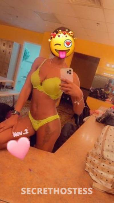 Phoenix 24Yrs Old Escort St. Cloud MN Image - 1