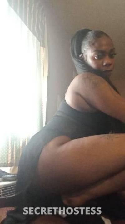 Phoenix 34Yrs Old Escort Baltimore MD Image - 8