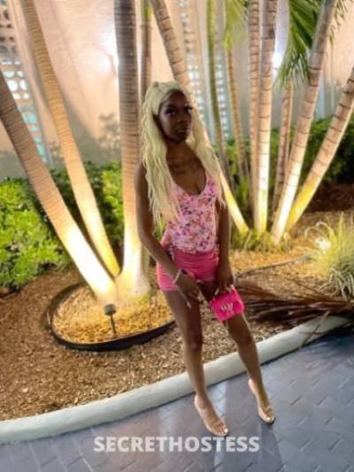 Pinky 23Yrs Old Escort Palm Bay FL Image - 4