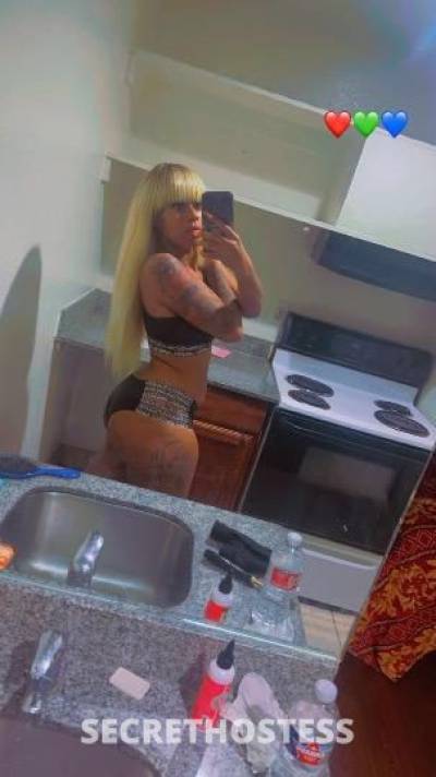 Star 23Yrs Old Escort Dallas TX Image - 1