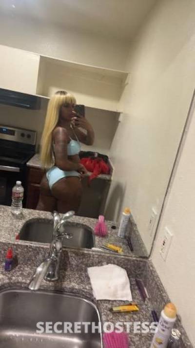 Star 23Yrs Old Escort Dallas TX Image - 7