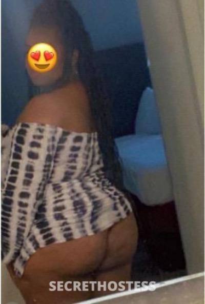 Stoney 25Yrs Old Escort Tampa FL Image - 4