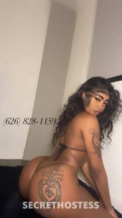 Taylor 21Yrs Old Escort Los Angeles CA Image - 3