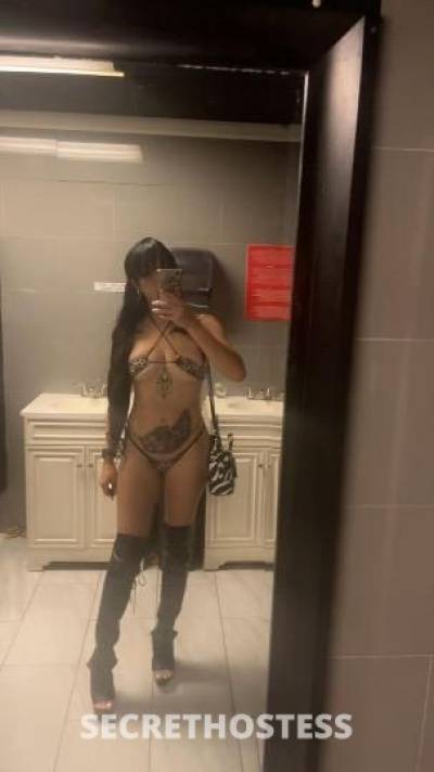 Tokio 28Yrs Old Escort Jacksonville FL Image - 2