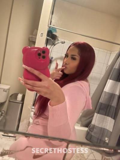 daphnebaby 19Yrs Old Escort San Fernando Valley CA Image - 0