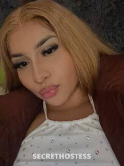 daphnebaby 19Yrs Old Escort San Fernando Valley CA Image - 3