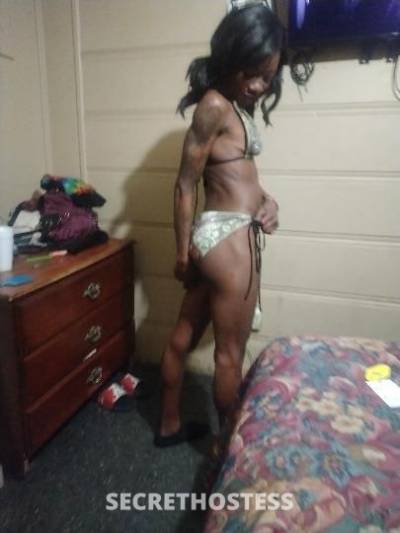 slim 31Yrs Old Escort Birmingham AL Image - 2