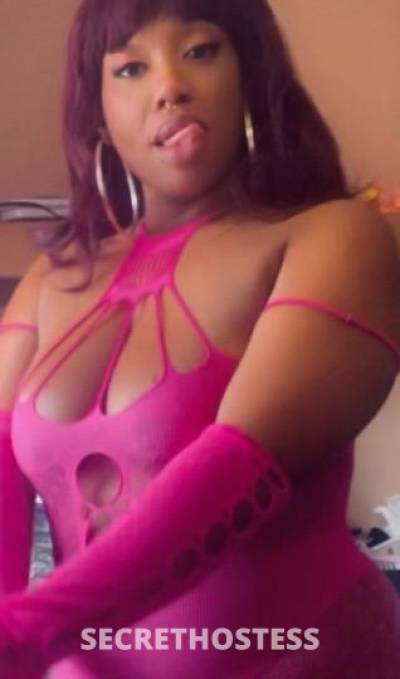 🧁CUPCAKE 30Yrs Old Escort San Diego CA Image - 0