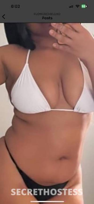 25Yrs Old Escort Detroit MI Image - 1