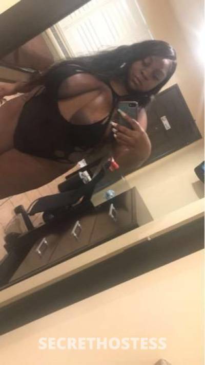 Amber 25Yrs Old Escort Concord CA Image - 6